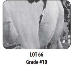 116178