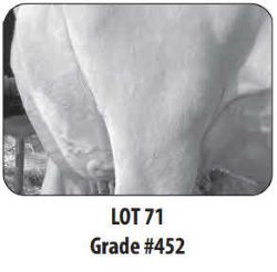 116185
