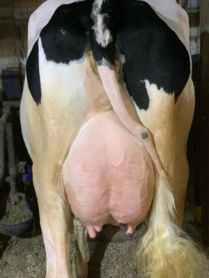 116470
