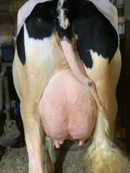 116470