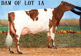 119746