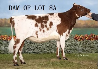 119782