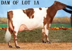 119746