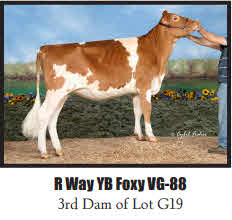 126649