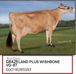 129440