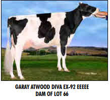 121545