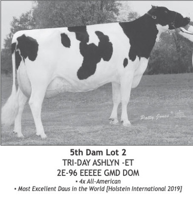 134151