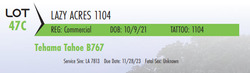 134004