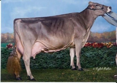 133495