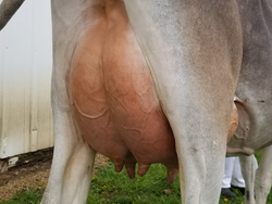 136503